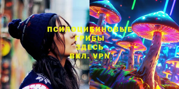 mdpv Богородицк