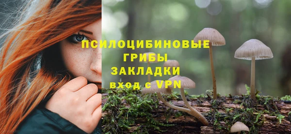 трава Богданович