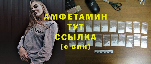 mdpv Богородицк
